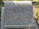 image of grave number 295157